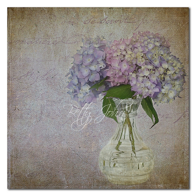 Yesteryear's Hydrangeas