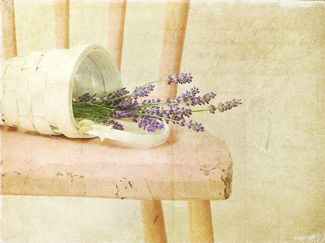 Pruning Pruning by raewillow, on Flickr