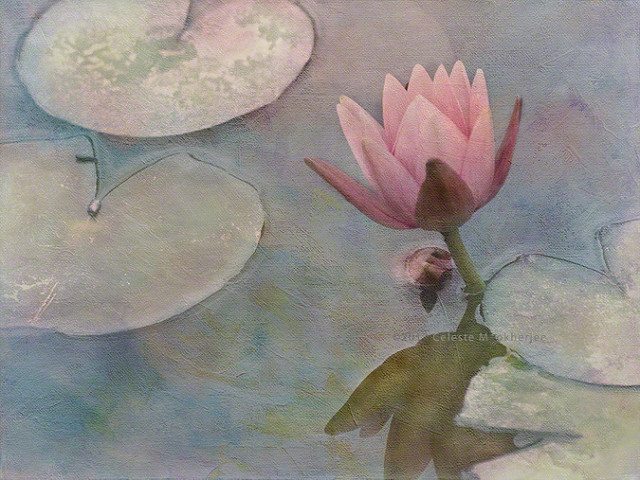 Ode to Claude Monet