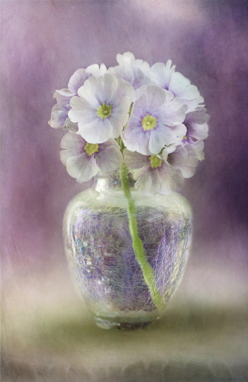 A Touch of Spring
