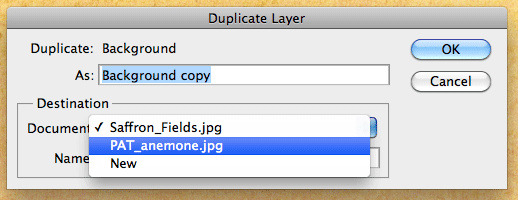 duplayer Duplicate Layer