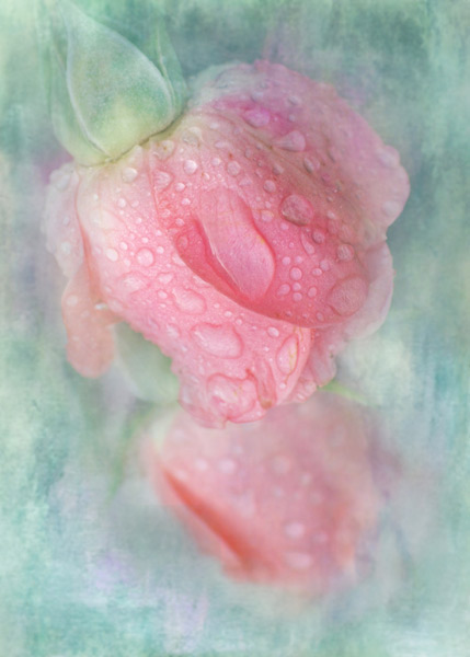teresa_pople002 Drippylicious