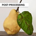 Post-Processing Rocks! Using Lightroom, Photoshop & A Topaz Labs Filter