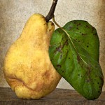 Before & After: Textured Quince Photo
