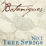 Botaniquebrushes-ft