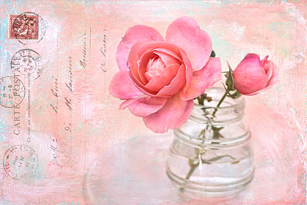 Rose_after Rose Image After