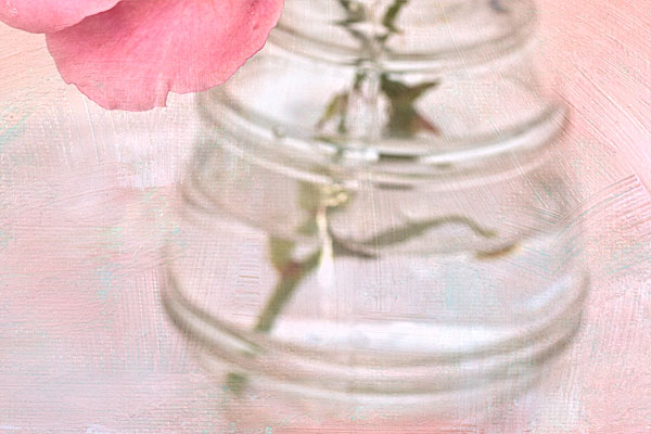 Rose_detail_after Detail After