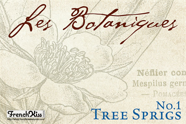 Tree Sprigs No.1