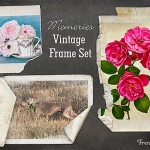 Memories_Slides_1