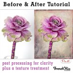 Before and After cabbage flower