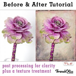 Before and After cabbage flower