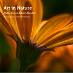 ArtInNature