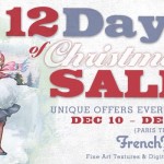 12 Days Of Christmas Sale