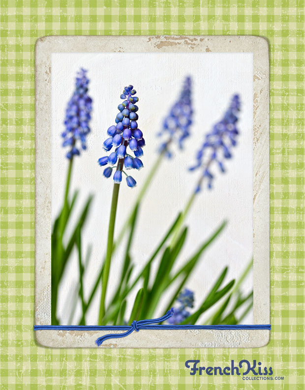 Placing An Image In A Digital Frame And Adding An Inner Shadow