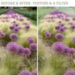 Before and After: Texture and a filter