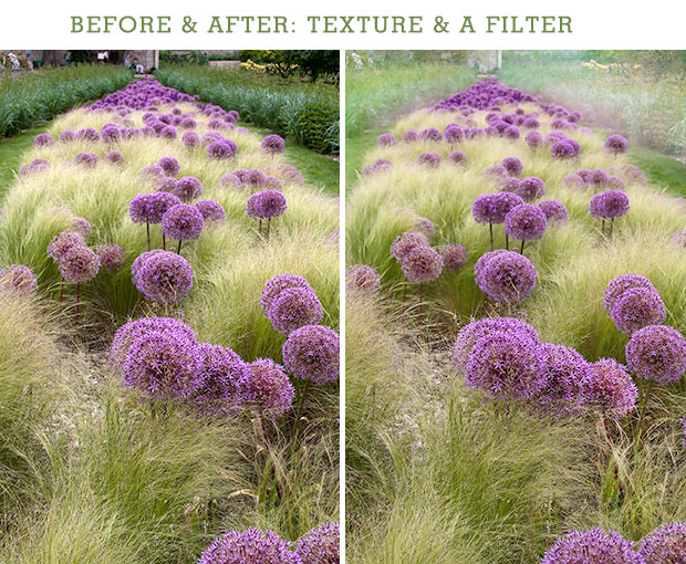Before and After: Texture and a filter