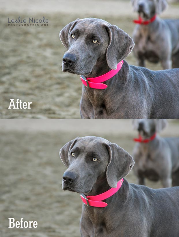 Before and After Clarity