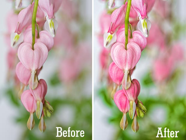 Before and After Clarity