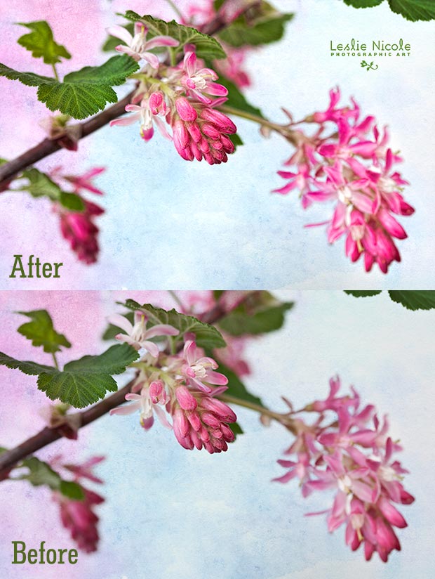 Before and After Clarity