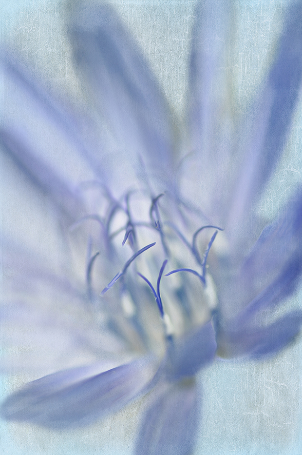 Touched By The Muse.
