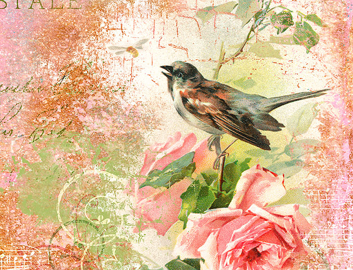 Bird collage detail