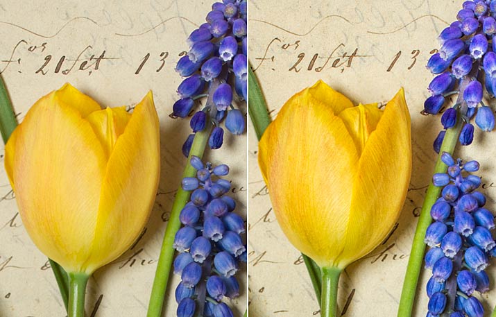 Before and After filters and texture