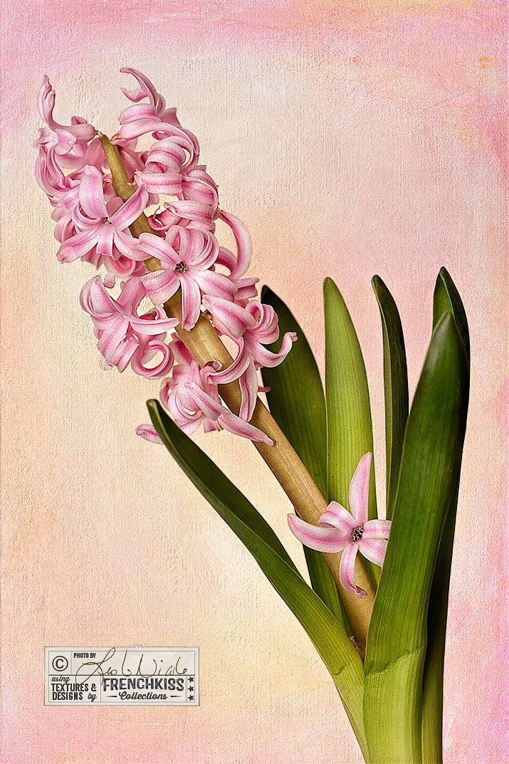 Image using a fine art texture
