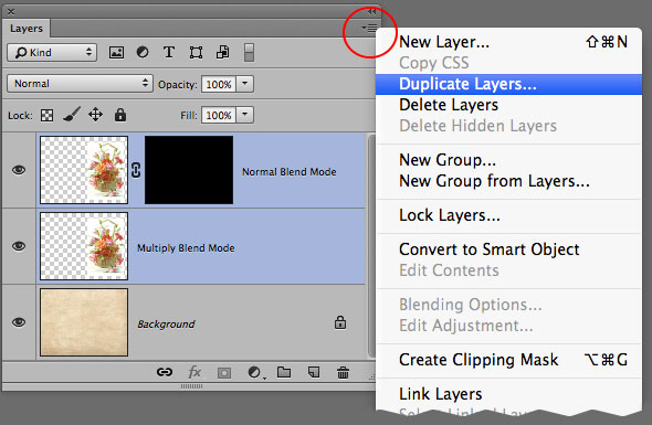 Duplicate Layers