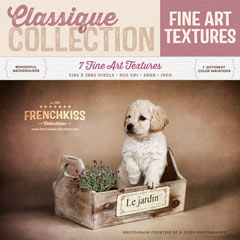 Classique Fine Art Textures