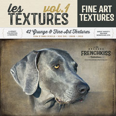 Les Textures 1 Fine Art Textures