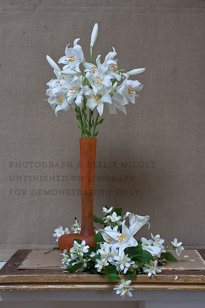 Lily Still Life Before