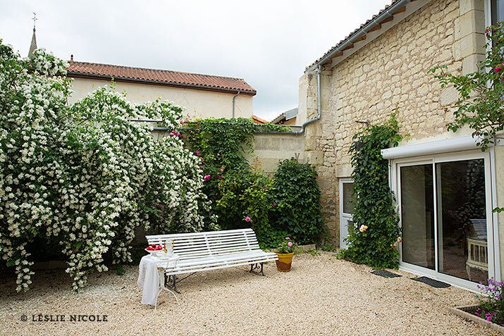 Mock Orange Tree in French Courtyard
