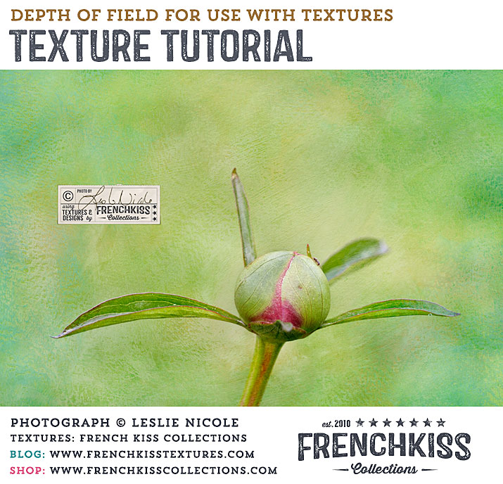 Depth Of Field And Textures