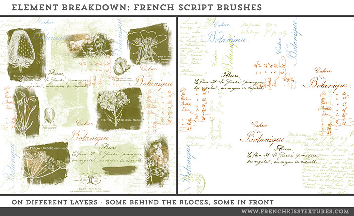 French Script brushes