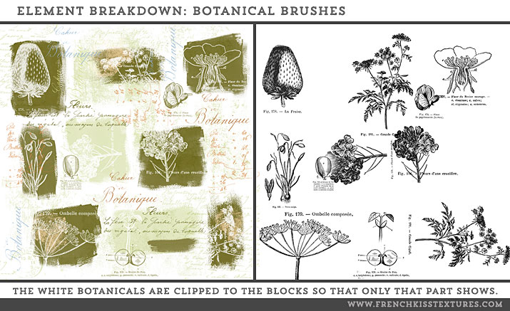 botanical brushes