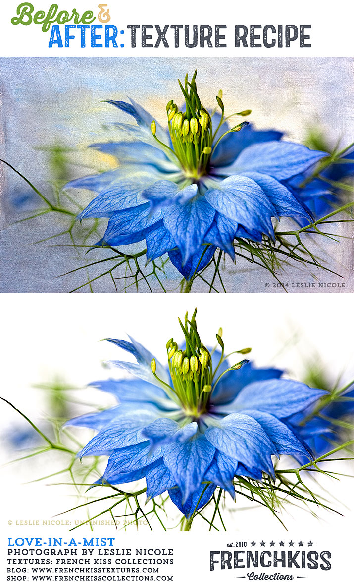 Before and after texture example of a Love-in-aMist flower.