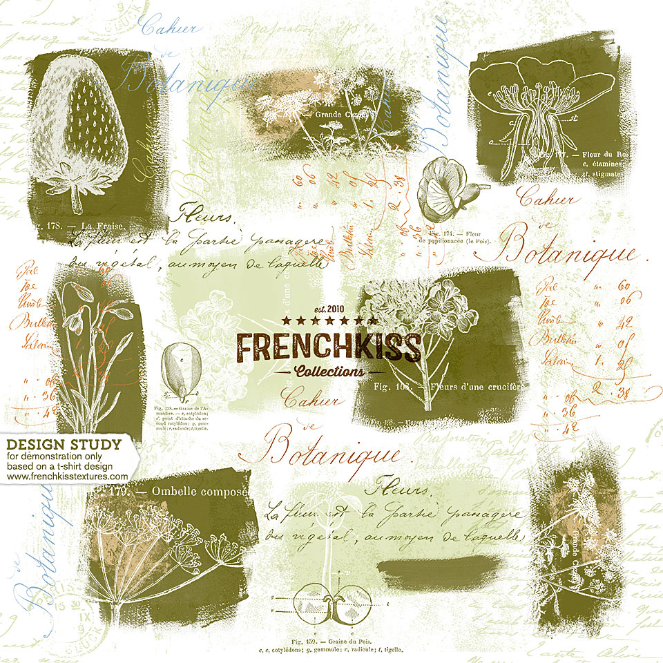Photoshop Brushes Used To Recreate A Botanical Print