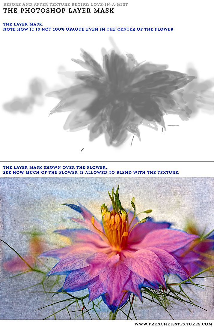 Photoshop layer mask shown