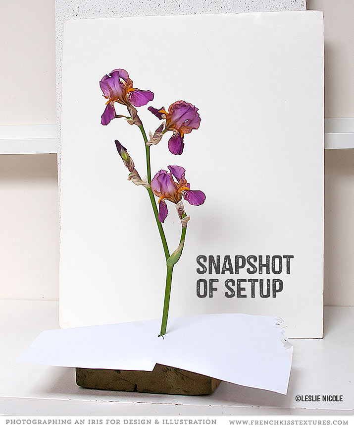 Snapshot of set-up