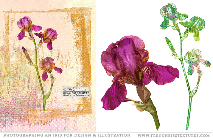 Creating designs from the photograph