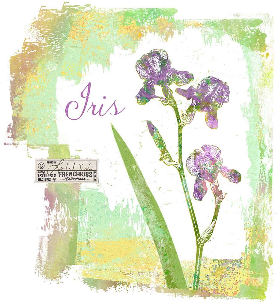 Using The Photoshop Stamp Filter To Create A Design Element